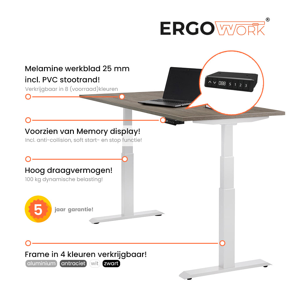 Ergowork Sta-zit bureau elektrisch 120 x 80 Basic