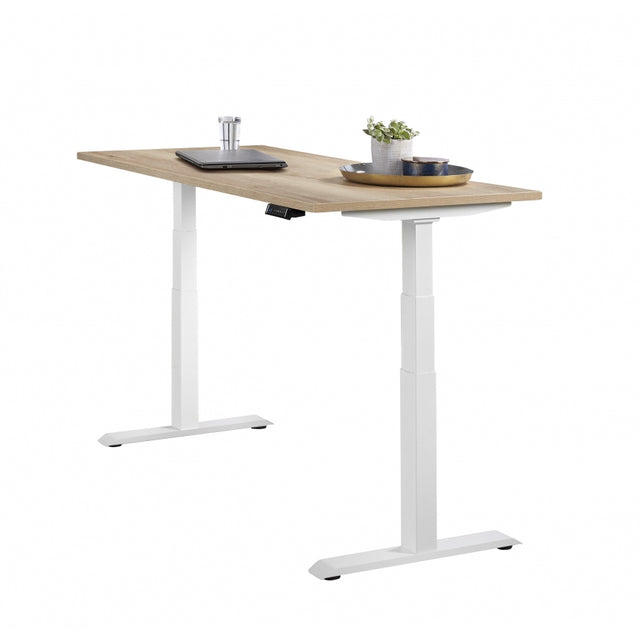 Ergowork Pro elektrisch zit sta bureau